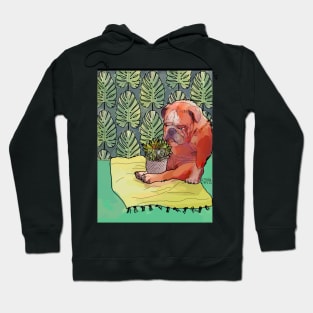 Bulldog and Succulent Hoodie